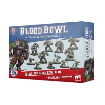 Black Orc Blood Bowl Team: The Thunder Valley Greenskins 202-12