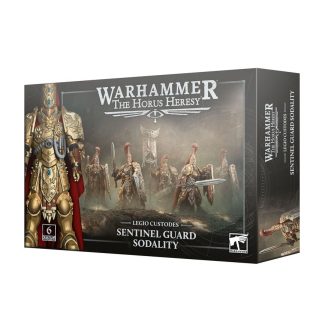 Sentinel Guard Sodality 31-164